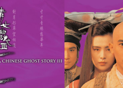 UNA HISTORIA CHINA DE FANTASMAS 3 (1991)