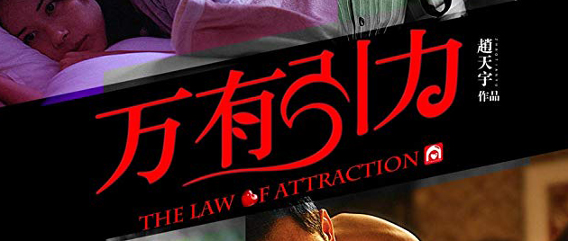 THE LAW OF ATTRACTION (2011)