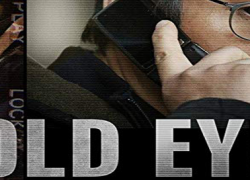 COLD EYES (2013)