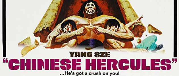 YANG SZE, la terreur de Bruce Lee (1973)