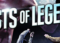FISTS OF LEGEND (2013)