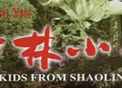 LE TEMPLE DE SHAOLIN 2 – Les enfants de Shaolin (1984)