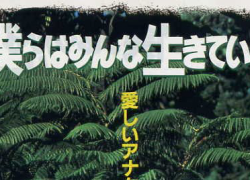 BOKURA WA MINNA IKITEIRU (1993)
