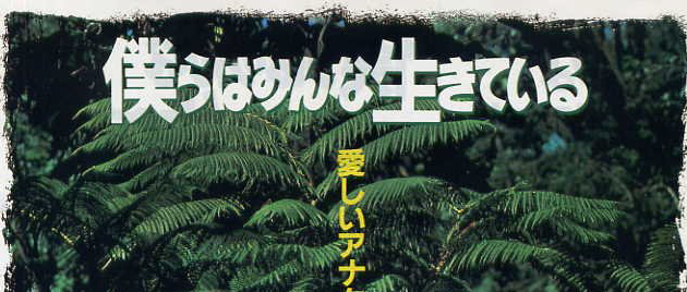 BOKURA WA MINNA IKITEIRU (1993)