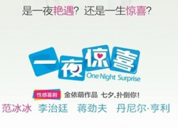 ONE NIGHT SURPRISE (2013)