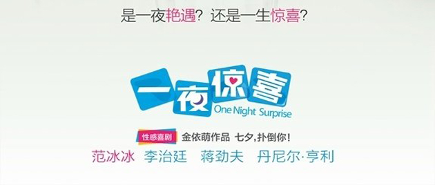 ONE NIGHT SURPRISE (2013)