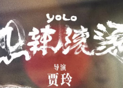 YOU ONLY LIVE ONCE (YOLO) (2024)